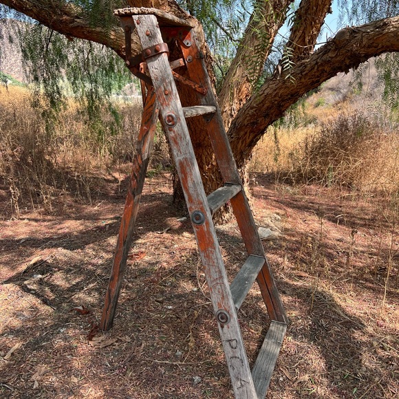 Meet Chris - Picture 2 of 5